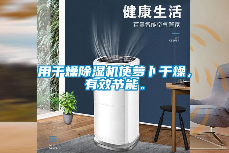 用干燥除濕機使蘿卜干燥,有效節能。