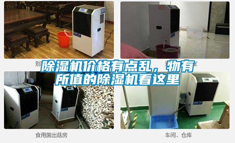 除濕機(jī)價(jià)格有點(diǎn)亂,物有所值的除濕機(jī)看這里