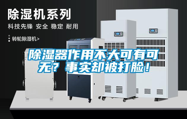 除濕器作用不大可有可無?事實卻被打臉!