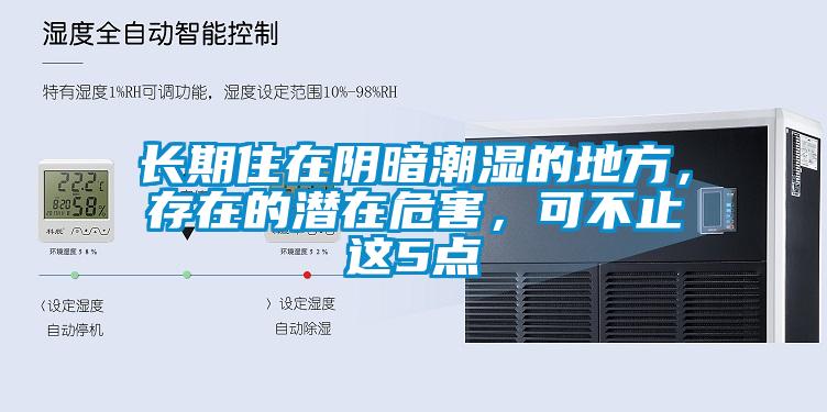 長期住在陰暗潮濕的地方,存在的潛在危害,可不止這5點