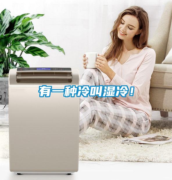 有一種冷叫濕冷！