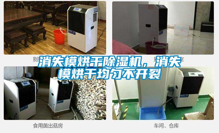 消失模烘干除濕機,消失模烘干均勻不開裂