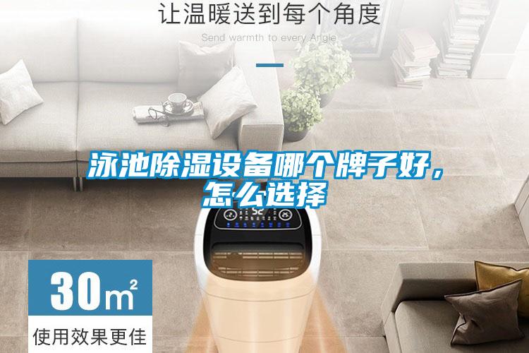 泳池除濕設(shè)備哪個(gè)牌子好,怎么選擇