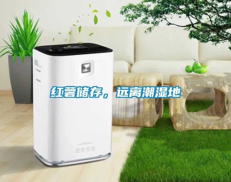 紅薯儲存,遠離潮濕地