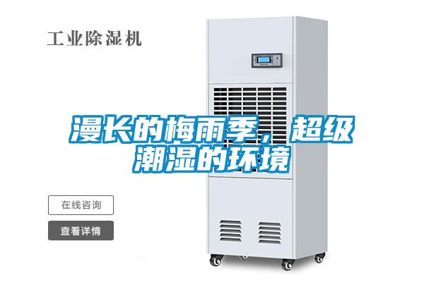 漫長的梅雨季,超級潮濕的環境
