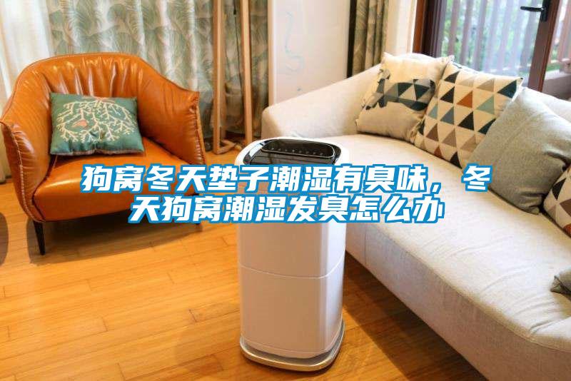 狗窩冬天墊子潮濕有臭味,冬天狗窩潮濕發臭怎么辦