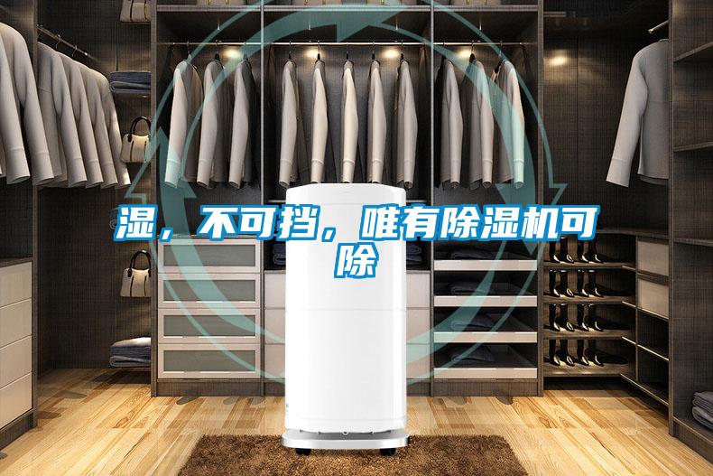 濕,不可擋,唯有除濕機可除