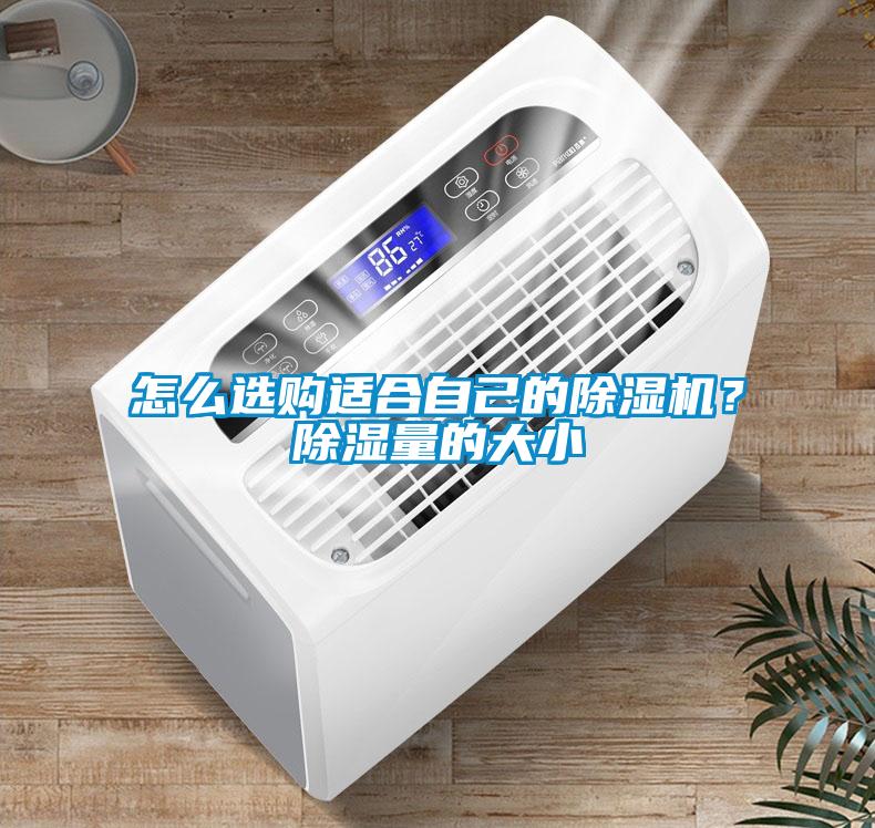 怎么選購適合自己的除濕機?除濕量的大小