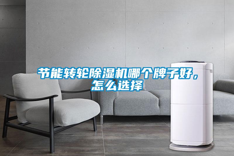 節(jié)能轉(zhuǎn)輪除濕機(jī)哪個牌子好,怎么選擇