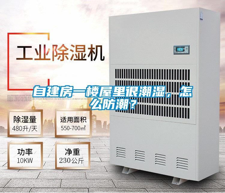 自建房一樓屋里很潮濕，怎么防潮？