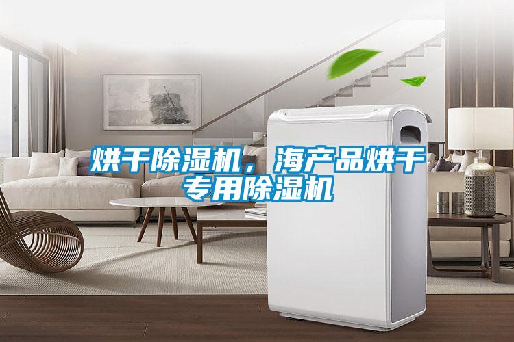 烘干除濕機,海產品烘干專用除濕機