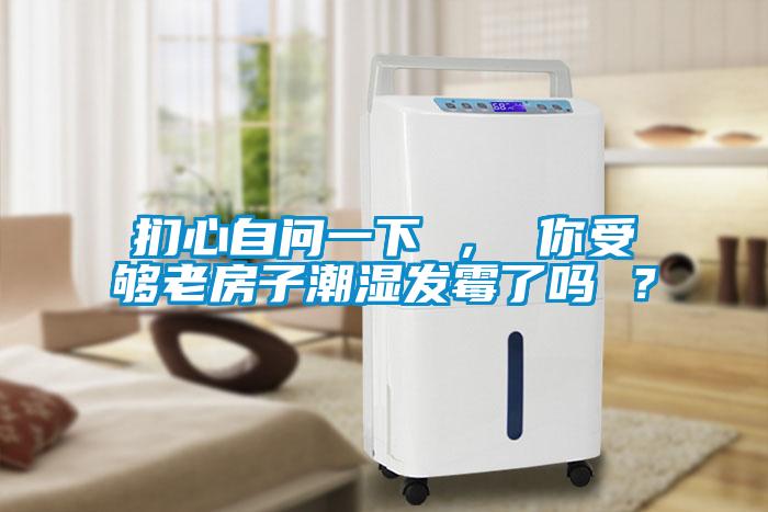捫心自問(wèn)一下 ， 你受夠老房子潮濕發(fā)霉了嗎 ？