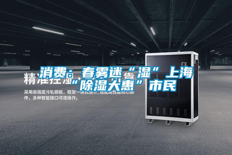 消費(fèi):春霧迷“濕”上海 “除濕大惠”市民