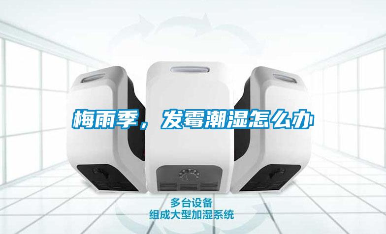 梅雨季,發(fā)霉潮濕怎么辦