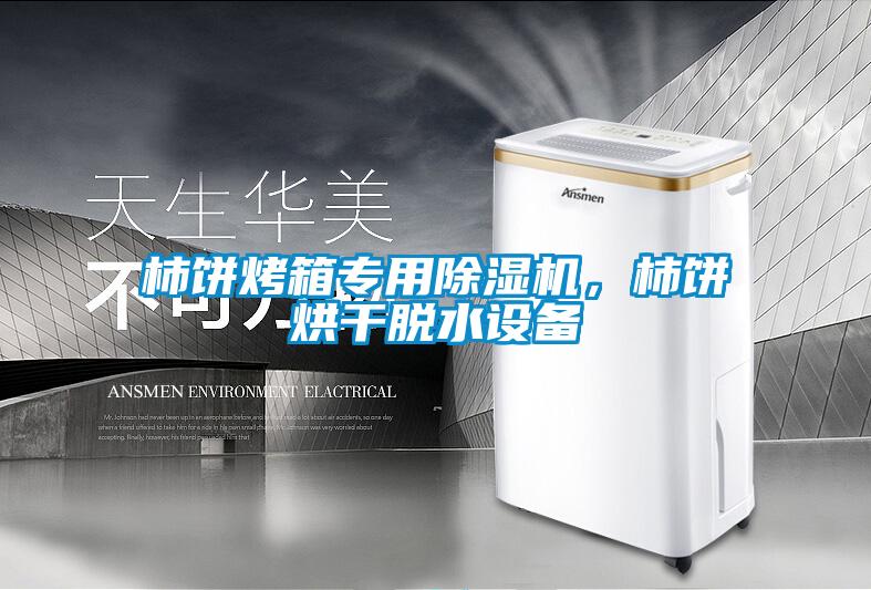 柿餅烤箱專(zhuān)用除濕機(jī),柿餅烘干脫水設(shè)備