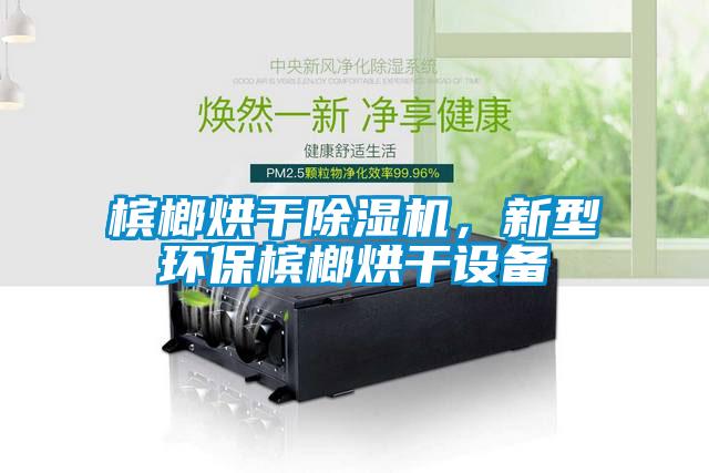 檳榔烘干除濕機,新型環保檳榔烘干設備