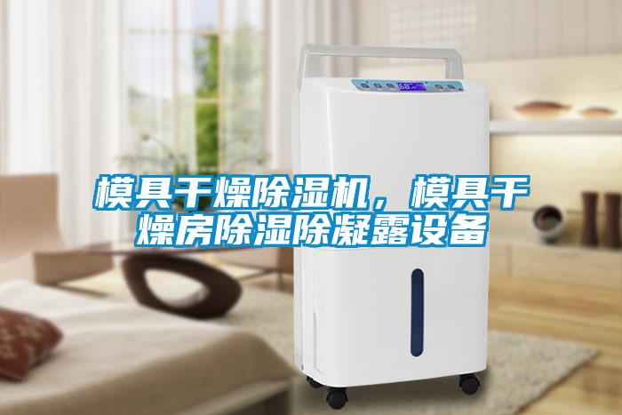 模具干燥除濕機,模具干燥房除濕除凝露設備