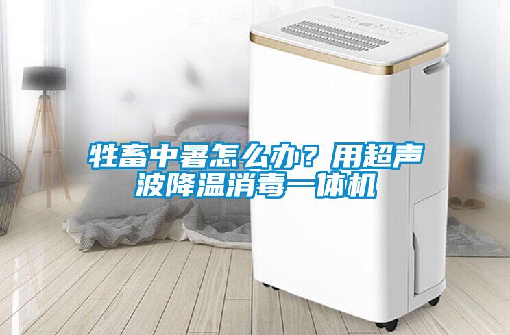 牲畜中暑怎么辦?用超聲波降溫消毒一體機