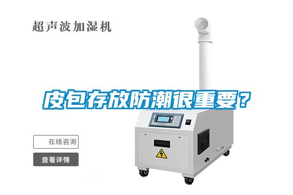 皮包存放防潮很重要?