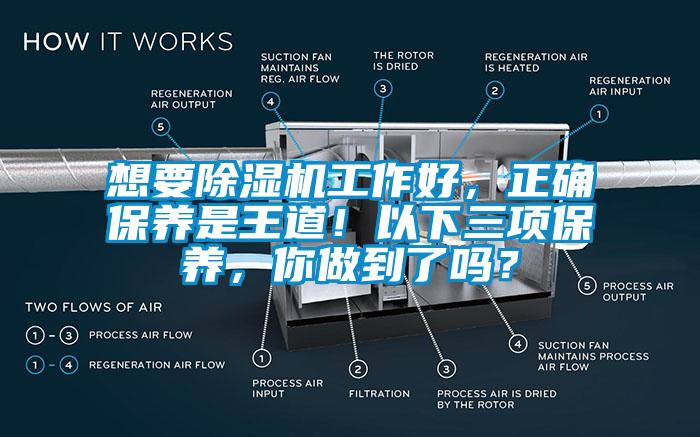 想要除濕機工作好,正確保養是王道!以下三項保養,你做到了嗎?