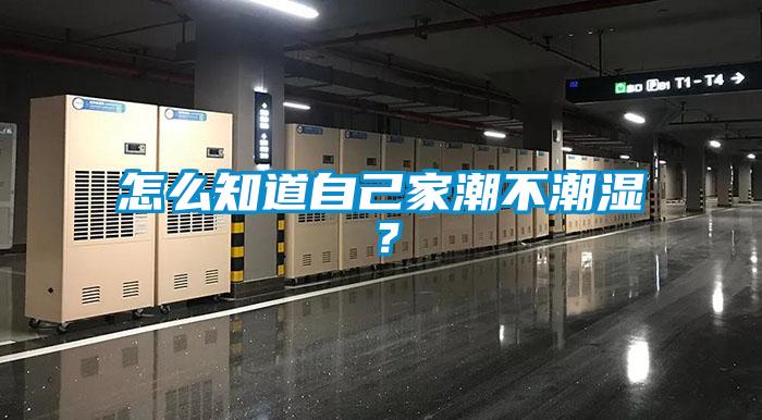 怎么知道自己家潮不潮濕？
