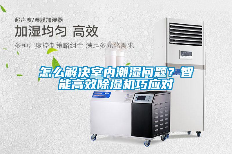 怎么解決室內潮濕問題?智能高效除濕機巧應對