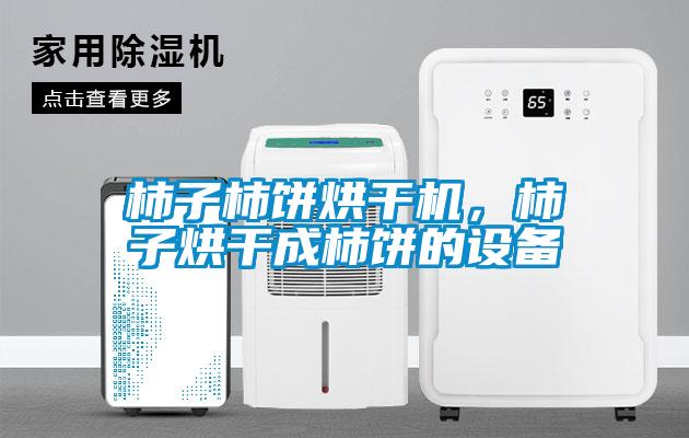 柿子柿餅烘干機,柿子烘干成柿餅的設備
