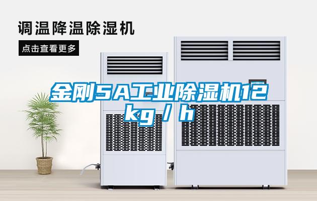 金剛5A工業(yè)除濕機(jī)12kg/h
