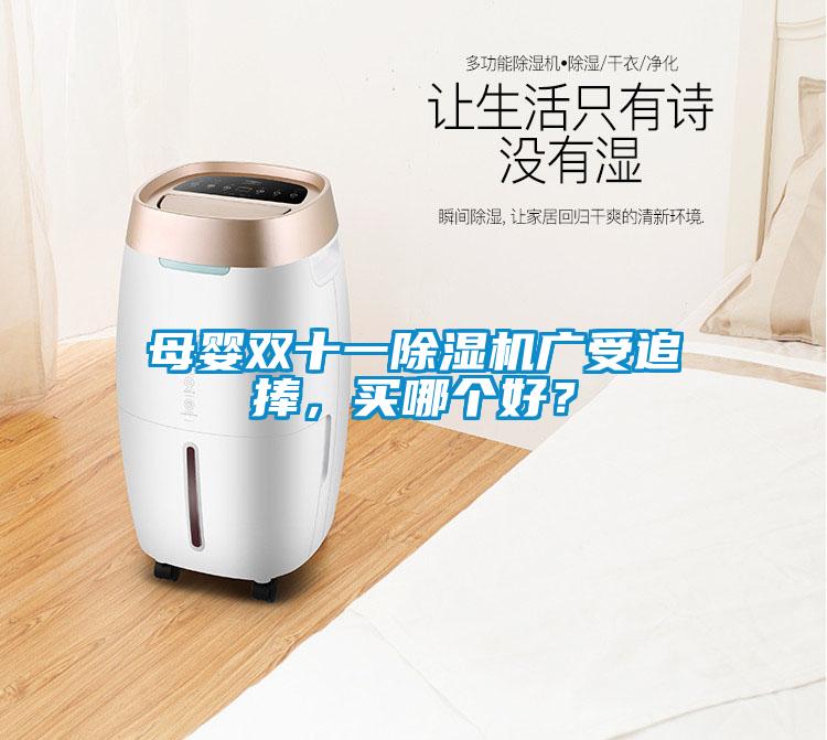 母嬰雙十一除濕機廣受追捧,買哪個好?