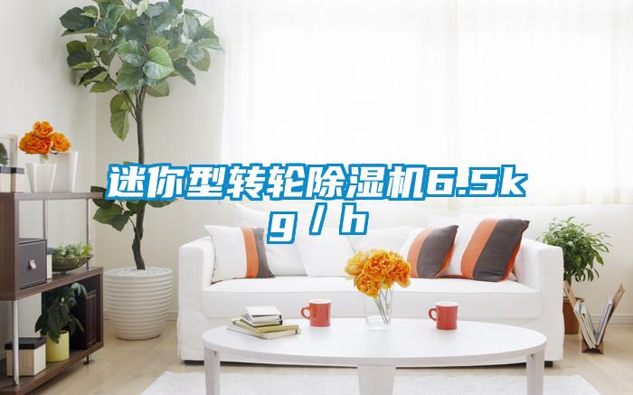 迷你型轉(zhuǎn)輪除濕機(jī)6.5kg/h