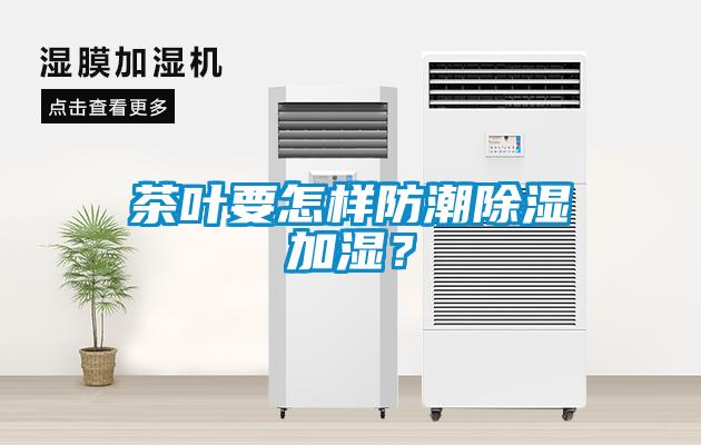 茶葉要怎樣防潮除濕加濕?