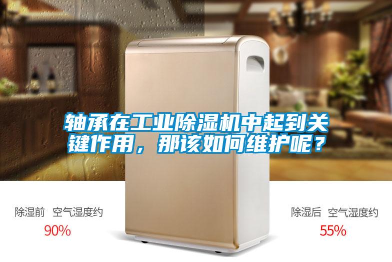 軸承在工業(yè)除濕機中起到關(guān)鍵作用,那該如何維護呢?