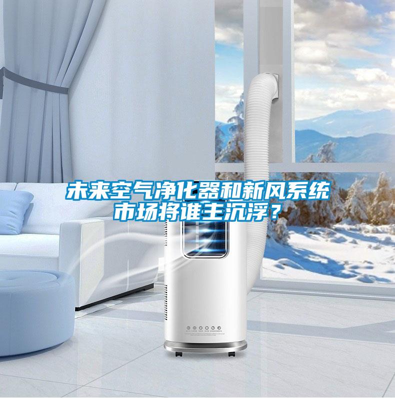 未來空氣凈化器和新風系統市場將誰主沉浮？
