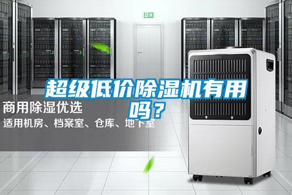 超級(jí)低價(jià)除濕機(jī)有用嗎?