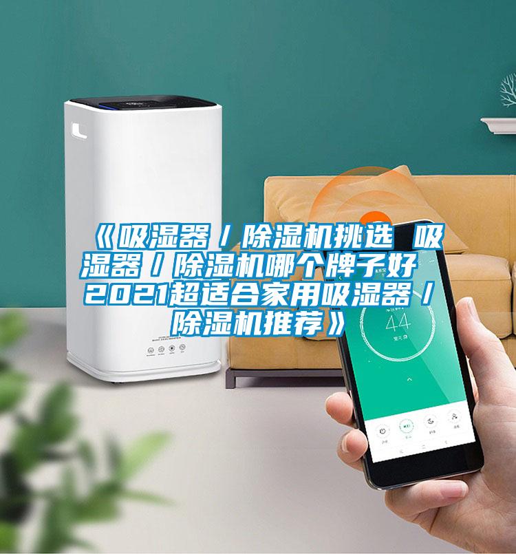 《吸濕器/除濕機挑選 吸濕器/除濕機哪個牌子好 2021超適合家用吸濕器/除濕機推薦》