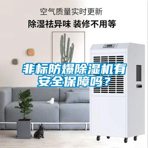 非標防爆除濕機有安全保障嗎?