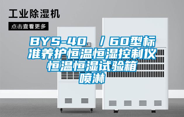 BYS-40 /60型標準養護恒溫恒濕控制儀  恒溫恒濕試驗箱  噴淋