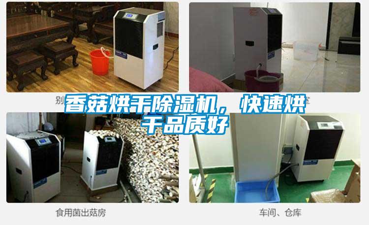 香菇烘干除濕機,快速烘干品質好