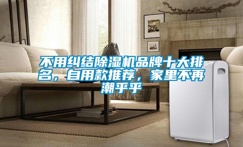 不用糾結除濕機品牌十大排名,自用款推薦,家里不再潮乎乎