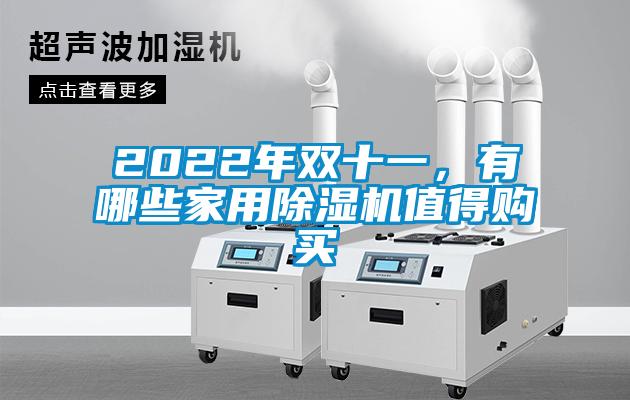 2022年雙十一,有哪些家用除濕機(jī)值得購買