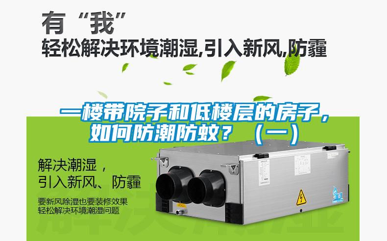 一樓帶院子和低樓層的房子，如何防潮防蚊？（一）