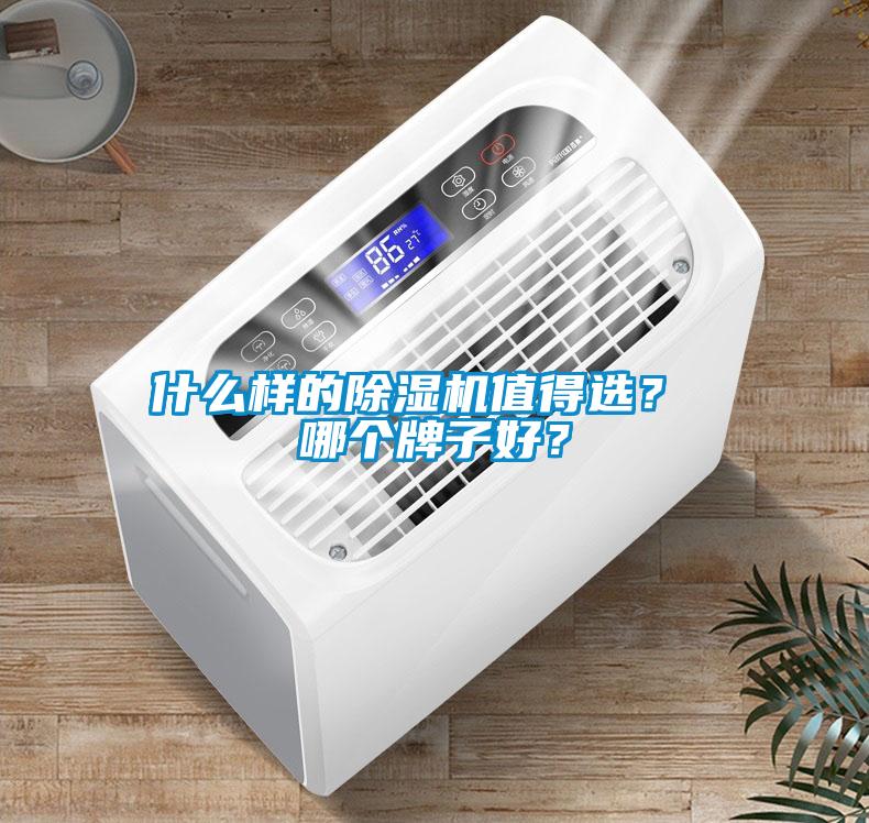 什么樣的除濕機值得選? 哪個牌子好?