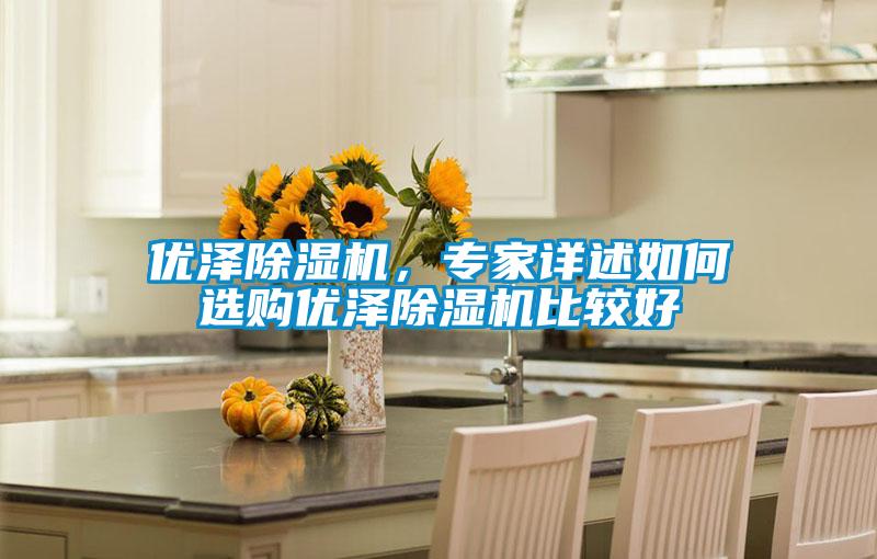 優澤除濕機,專家詳述如何選購優澤除濕機比較好
