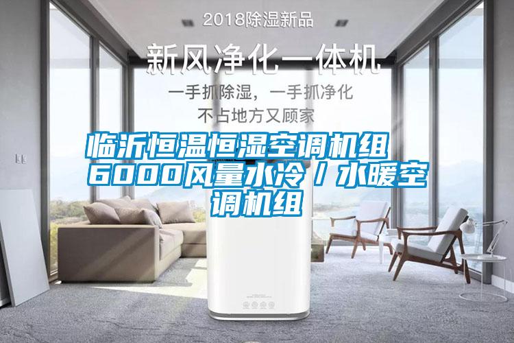 臨沂恒溫恒濕空調機組  6000風量水冷/水暖空調機組