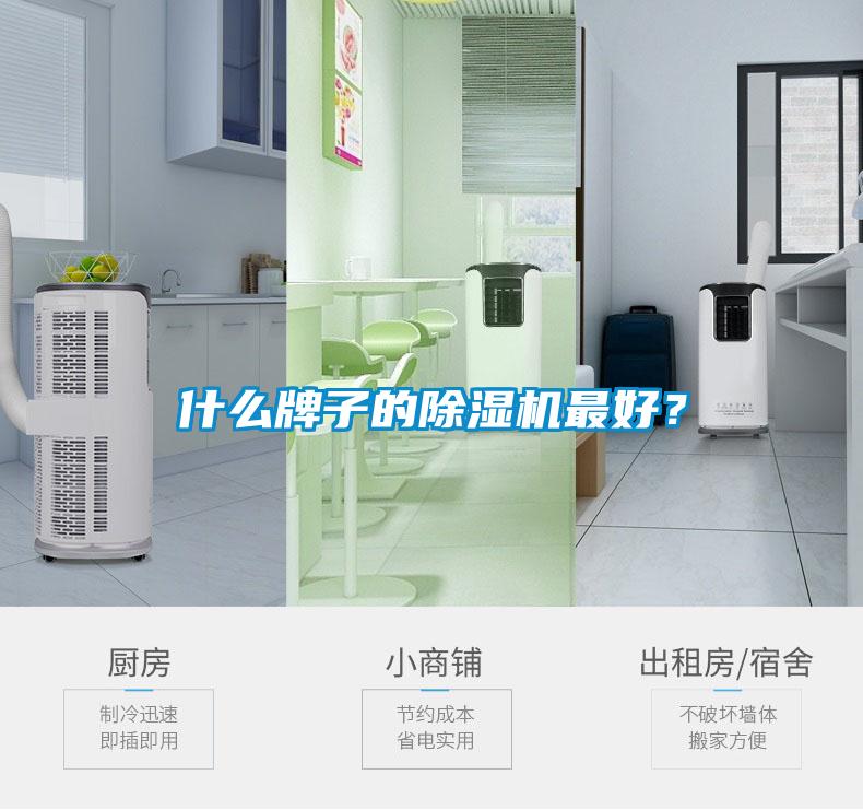 什么牌子的除濕機最好?
