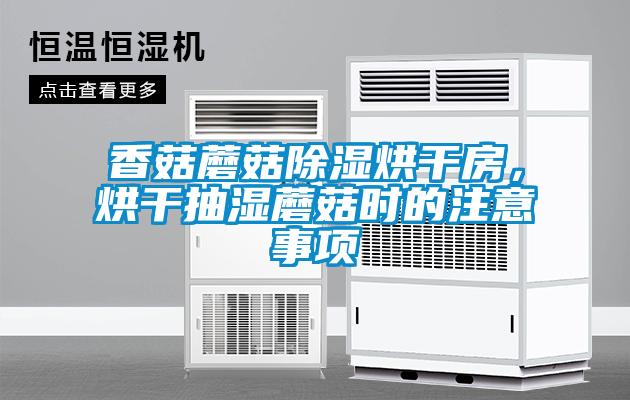香菇蘑菇除濕烘干房，烘干抽濕蘑菇時的注意事項