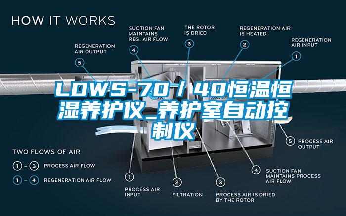 LDWS-70/40恒溫恒濕養護儀_養護室自動控制儀