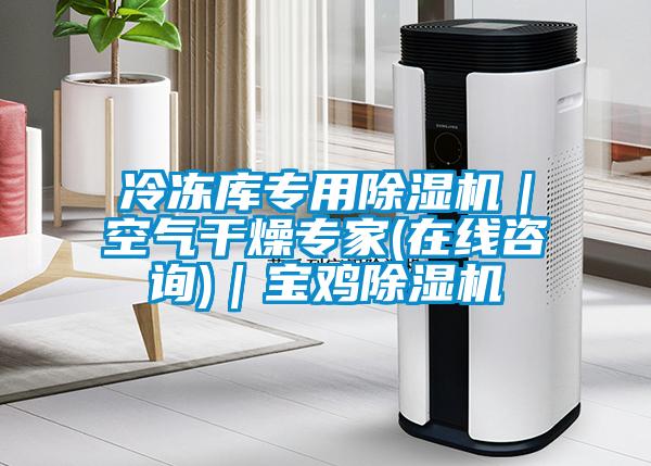 冷凍庫專用除濕機|空氣干燥專家(在線咨詢)|寶雞除濕機