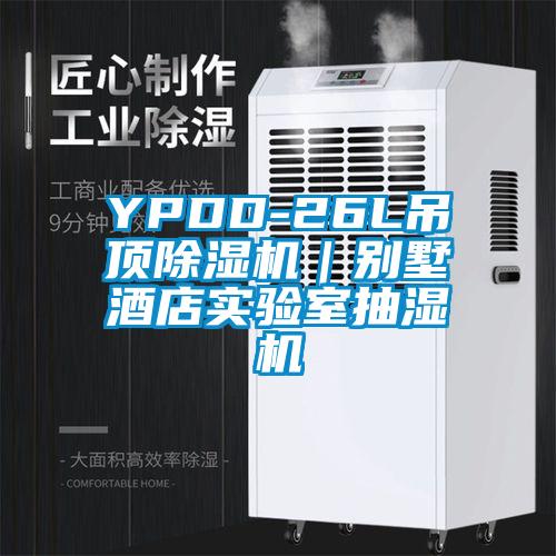 YPDD-26L吊頂除濕機(jī)|別墅酒店實(shí)驗(yàn)室抽濕機(jī)