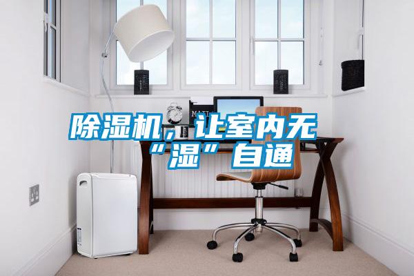 除濕機,讓室內無“濕”自通